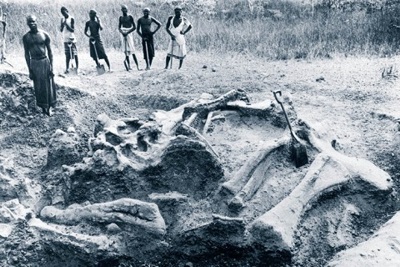 Natives with excavation on German Tendaguru Expedition